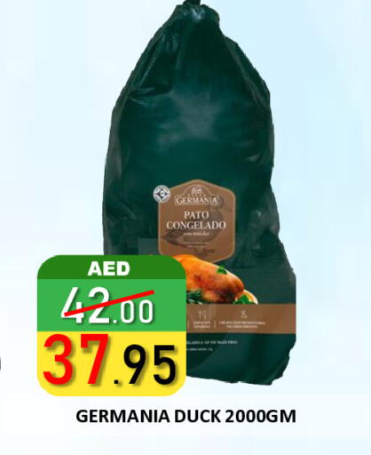available at رويال جلف هايبرماركت in الإمارات العربية المتحدة , الامارات - أبو ظبي