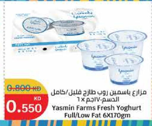 Yogurt & Labneh in City Hypermarket, Kuwait Offers - Kuwait Yoghurt available at City Hypermarket in Kuwait - Kuwait City