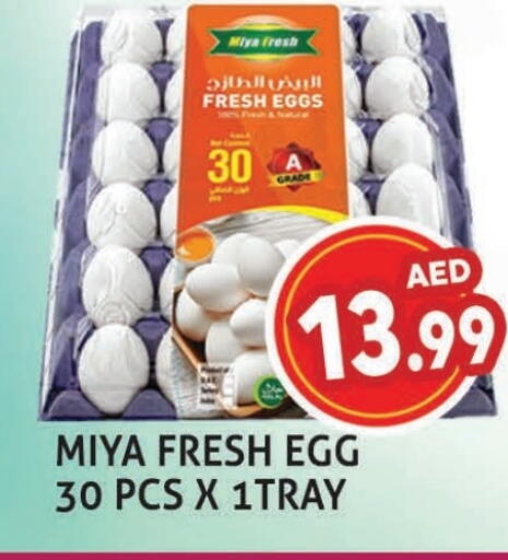 available at Palm Centre LLC in UAE - Sharjah / Ajman