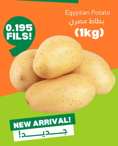 Potato from Egypt available at Taw9eel.com in Kuwait - Kuwait City