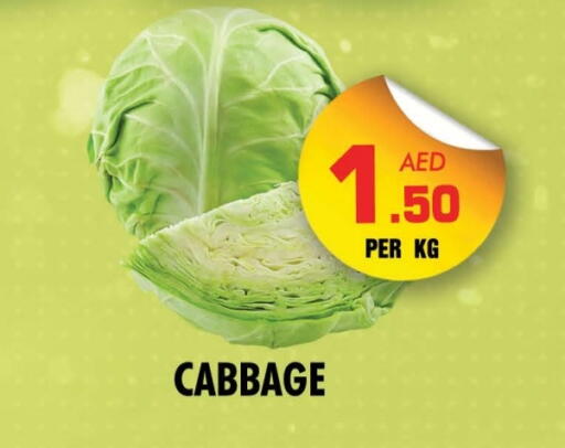 Cabbage available at NIGHT TO NIGHT DEPARTMENT STORE in UAE - Sharjah / Ajman