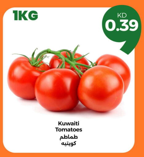 Tomato from Kuwait available at Taw9eel.com in Kuwait - Jahra Governorate