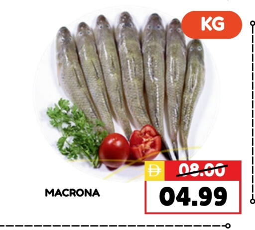 available at ROYAL GULF HYPERMARKET LLC in UAE - Abu Dhabi