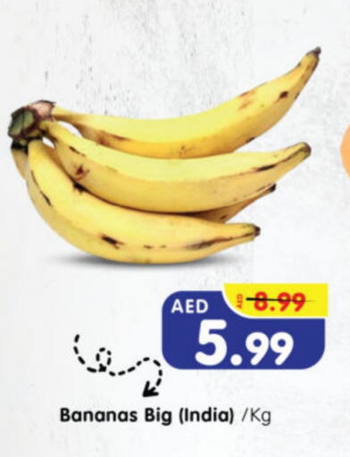 from India available at Al Madina Hypermarket in UAE - Abu Dhabi