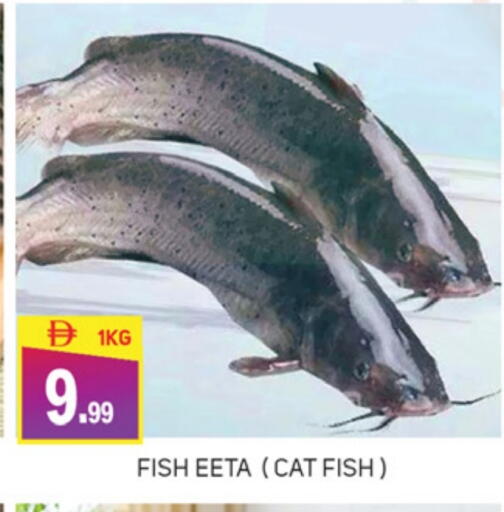 available at TALAL MARKET in UAE - Abu Dhabi