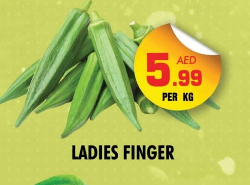 available at NIGHT TO NIGHT DEPARTMENT STORE in UAE - Sharjah / Ajman