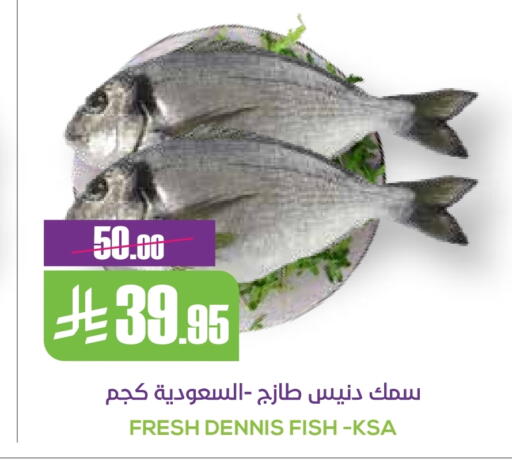 الأسماك الطازجة in سبت, المملكة العربية السعودية Offers - المملكة العربية السعودية available at سبت in مملكة العربية السعودية, السعودية, سعودية - بريدة