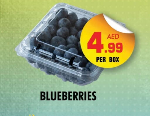 available at NIGHT TO NIGHT DEPARTMENT STORE in UAE - Sharjah / Ajman