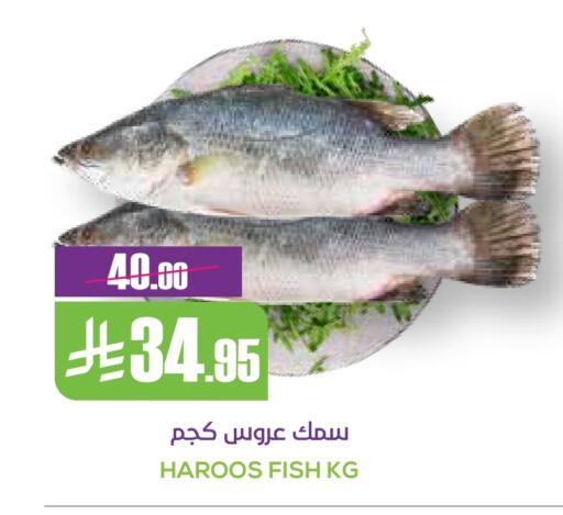 الأسماك الطازجة in سبت, المملكة العربية السعودية Offers - المملكة العربية السعودية available at سبت in مملكة العربية السعودية, السعودية, سعودية - بريدة