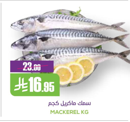 الأسماك الطازجة in سبت, المملكة العربية السعودية Offers - المملكة العربية السعودية available at سبت in مملكة العربية السعودية, السعودية, سعودية - بريدة