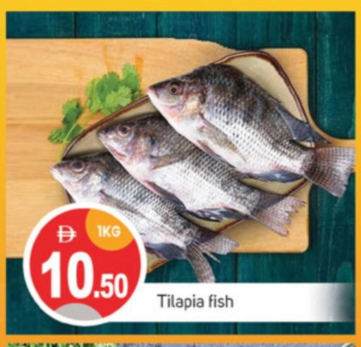 Fresh Fish in TALAL MARKET, UAE Offers - United Arab Emirates available at TALAL MARKET in UAE - Sharjah / Ajman
