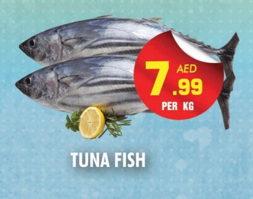 available at NIGHT TO NIGHT DEPARTMENT STORE in UAE - Sharjah / Ajman