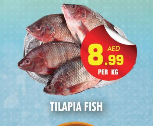 available at NIGHT TO NIGHT DEPARTMENT STORE in UAE - Sharjah / Ajman