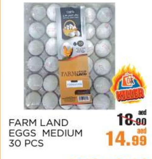 available at OK Hypermarket LLC SPC in UAE - Abu Dhabi