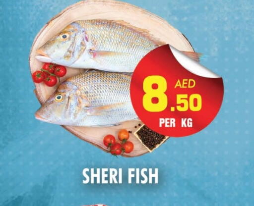available at NIGHT TO NIGHT DEPARTMENT STORE in UAE - Sharjah / Ajman