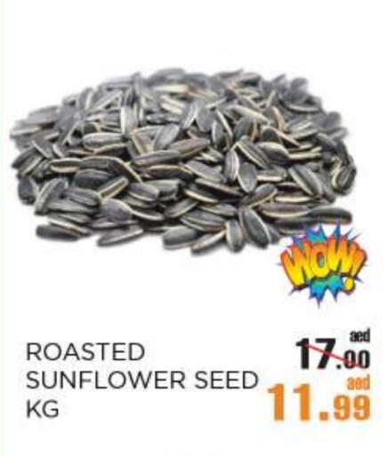 available at أوكى هايبرماركت in الإمارات العربية المتحدة , الامارات - أبو ظبي
