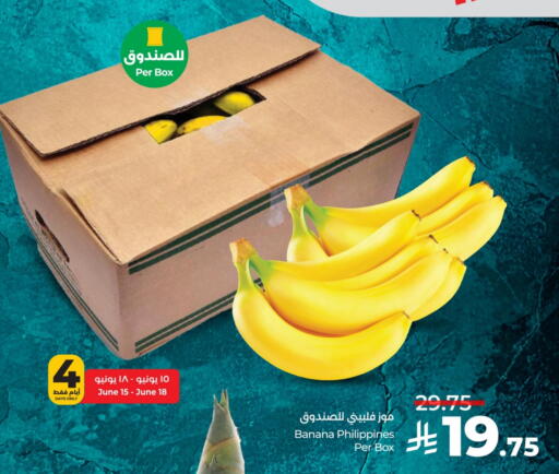 Banana from Philippines available at LULU Hypermarket in KSA, Saudi Arabia, Saudi - Dammam