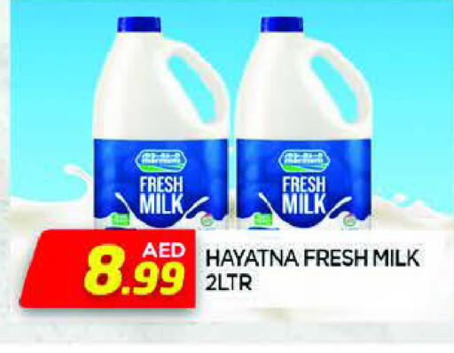 HAYATNA Fresh Milk available at AL MADINA in UAE - Sharjah / Ajman