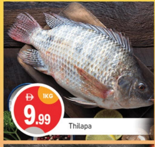 Fresh Fish in TALAL MARKET, UAE Offers - United Arab Emirates available at TALAL MARKET in UAE - Sharjah / Ajman