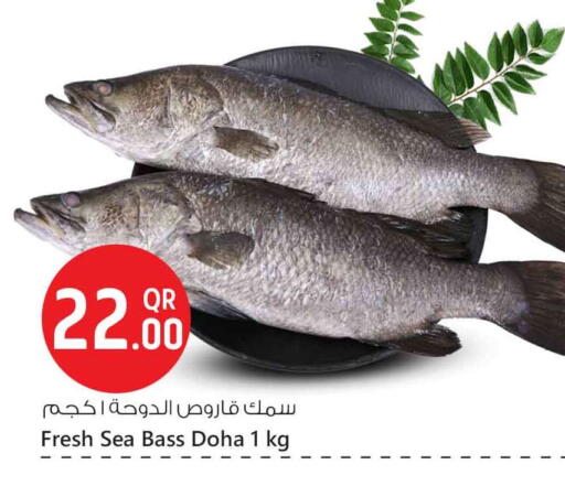 available at Safari Hypermarket in Qatar - Al-Shahaniya