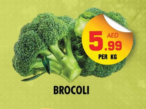 available at NIGHT TO NIGHT DEPARTMENT STORE in UAE - Sharjah / Ajman