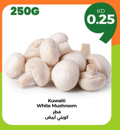 Mushroom from Kuwait available at Taw9eel.com in Kuwait - Kuwait City