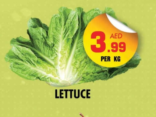 Lettuce available at NIGHT TO NIGHT DEPARTMENT STORE in UAE - Sharjah / Ajman