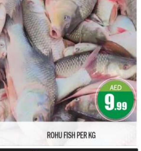 available at BIGmart in UAE - Abu Dhabi