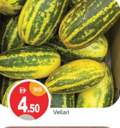 Fresh Vegetables in TALAL MARKET, UAE Offers - United Arab Emirates available at TALAL MARKET in UAE - Sharjah / Ajman