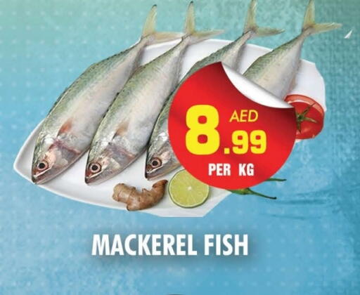 available at NIGHT TO NIGHT DEPARTMENT STORE in UAE - Sharjah / Ajman