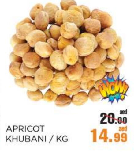 Apricot available at OK Hypermarket LLC SPC in UAE - Abu Dhabi
