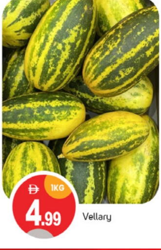 الخضروات الطازجة in سوق طلال, UAE Offers - الإمارات العربية المتحدة available at سوق طلال in الإمارات العربية المتحدة , الامارات - دبي
