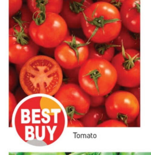 Fresh Vegetables in TALAL MARKET, UAE Offers - United Arab Emirates Tomato available at TALAL MARKET in UAE - Sharjah / Ajman
