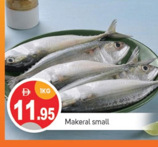 Fresh Fish in TALAL MARKET, UAE Offers - United Arab Emirates available at TALAL MARKET in UAE - Sharjah / Ajman