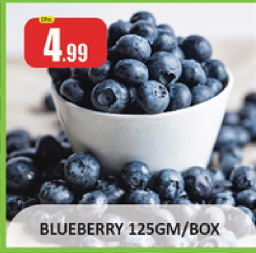 فاكهة طازجة in المدينة, UAE Offers - الإمارات العربية المتحدة Blueberry BlueBerry available at المدينة in الإمارات العربية المتحدة , الامارات - دبي