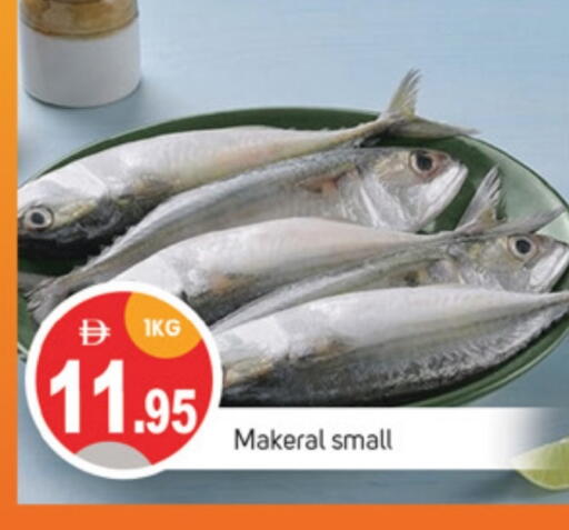 Fresh Fish in TALAL MARKET, UAE Offers - United Arab Emirates available at TALAL MARKET in UAE - Sharjah / Ajman