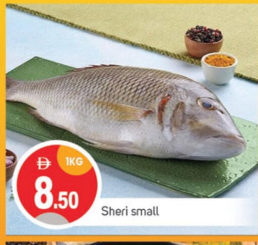 Fresh Fish in TALAL MARKET, UAE Offers - United Arab Emirates available at TALAL MARKET in UAE - Sharjah / Ajman
