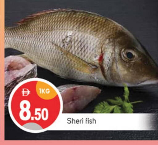 Fresh Fish in TALAL MARKET, UAE Offers - United Arab Emirates available at TALAL MARKET in UAE - Sharjah / Ajman
