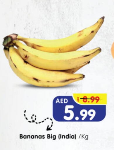 from India available at Al Madina Hypermarket in UAE - Abu Dhabi