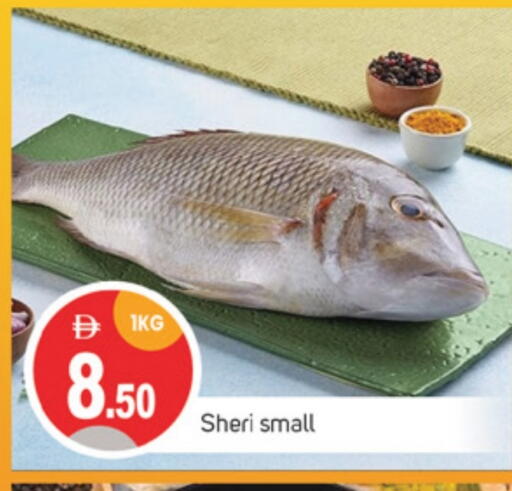 Fresh Fish in TALAL MARKET, UAE Offers - United Arab Emirates available at TALAL MARKET in UAE - Sharjah / Ajman