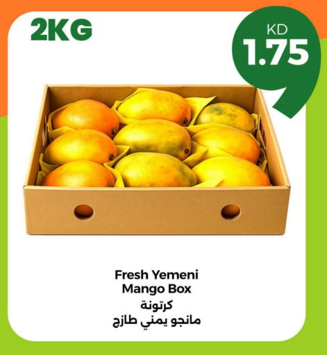 Mango Mangoes from Yemen available at Taw9eel.com in Kuwait - Kuwait City