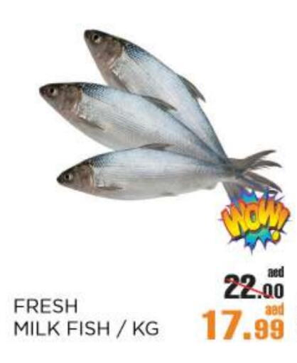 available at OK Hypermarket LLC SPC in UAE - Abu Dhabi