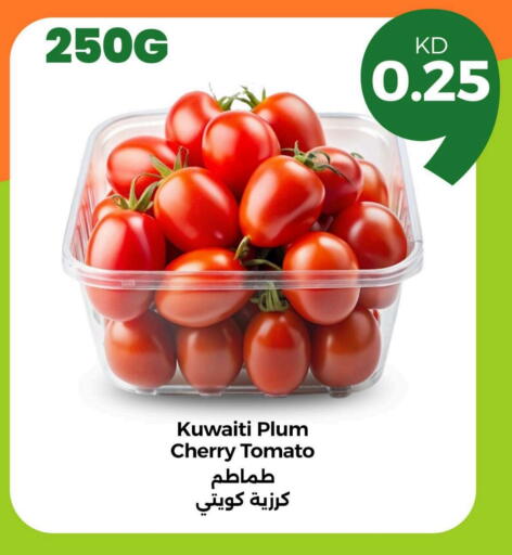 Tomato from Kuwait available at Taw9eel.com in Kuwait - Jahra Governorate
