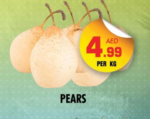 available at NIGHT TO NIGHT DEPARTMENT STORE in UAE - Sharjah / Ajman