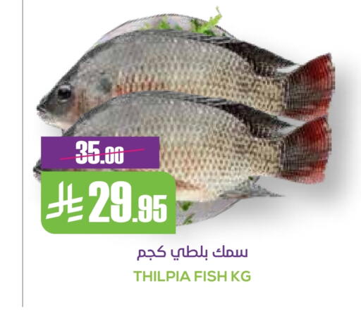 الأسماك الطازجة in سبت, المملكة العربية السعودية Offers - المملكة العربية السعودية available at سبت in مملكة العربية السعودية, السعودية, سعودية - بريدة