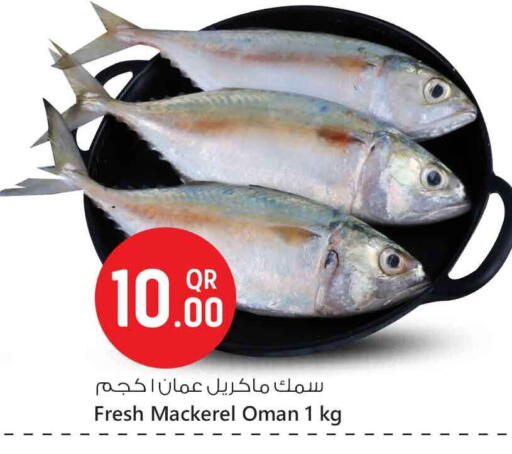 available at Safari Hypermarket in Qatar - Al Wakra