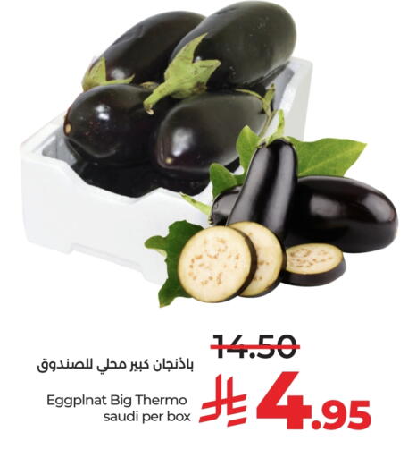 الخضروات الطازجة in لولو هايبرماركت, المملكة العربية السعودية Offers - المملكة العربية السعودية from Saudi Arabia available at لولو هايبرماركت in مملكة العربية السعودية, السعودية, سعودية - الرياض