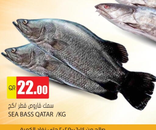available at Grand Hypermarket in Qatar - Al Wakra