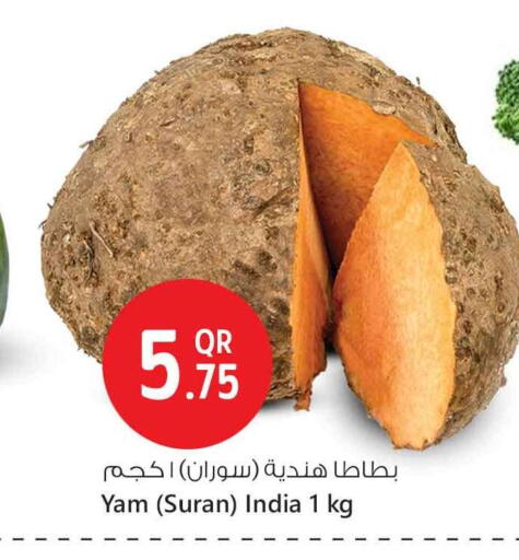 الخضروات الطازجة in سفاري هايبر ماركت, قطر Offers - قطر from India available at سفاري هايبر ماركت in قطر - الوكرة