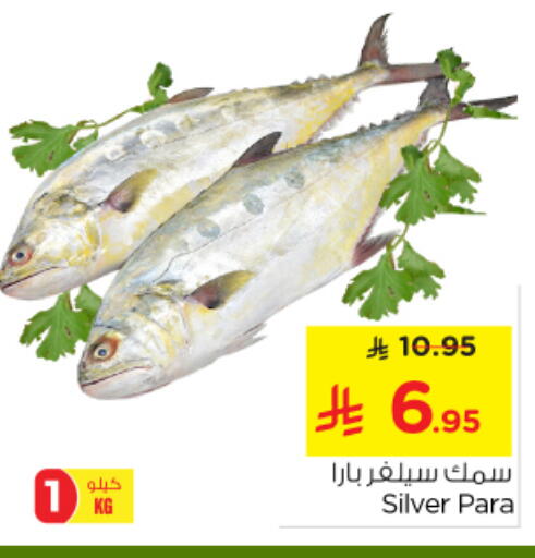 الأسماك الطازجة in نستو, المملكة العربية السعودية Offers - المملكة العربية السعودية available at نستو in مملكة العربية السعودية, السعودية, سعودية - بريدة